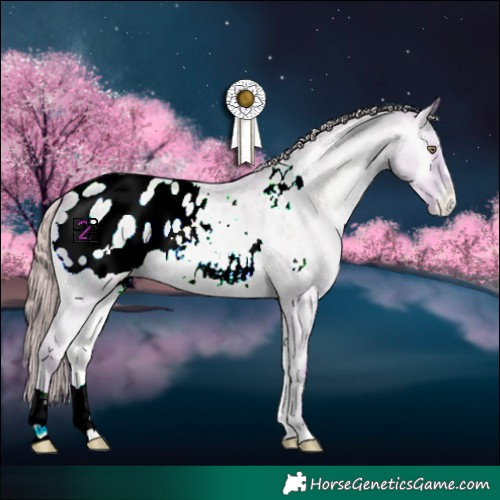 Horse Color:Watercolor Grullo Chinchilla Roan Pearl Onyx Varnish