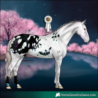 Horse Color:Watercolor Grullo Chinchilla Roan Pearl Onyx Appaloosa 