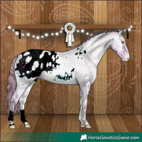 Horse Color:Watercolor Grullo Chinchilla Roan Pearl Onyx Appaloosa