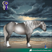 Horse Color:Gray Silver Black Tobiano Rabicano
