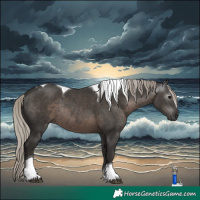 Horse Color:Gray Silver Black Tobiano Rabicano 