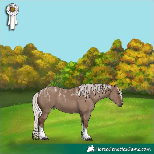 Horse Color:Powder White Silver Grullo Tobiano 