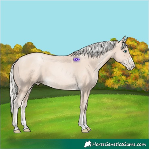 Horse Color:Gold Cream Champagne Pearl 