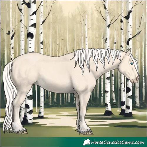 Horse Color:Cremello