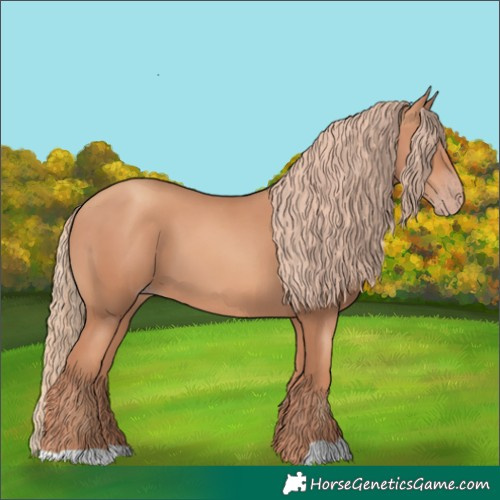 Horse Color:Gold Champagne 