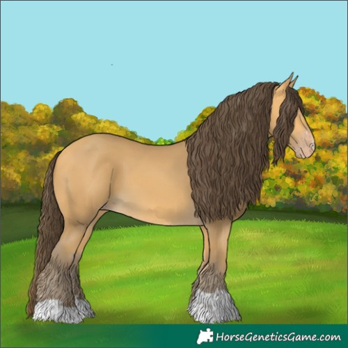 Horse Color:Amber Cream Champagne