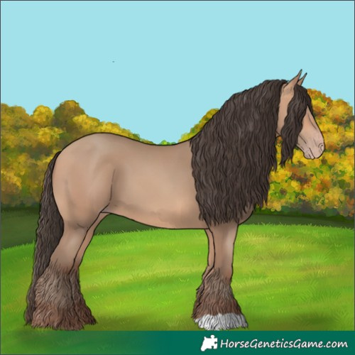 Horse Color:Amber Champagne 