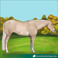 Horse Color:Chocolate Palomino Pearl Tobiano Frame  and Chocolate Palomino Pearl Tobiano Frame 