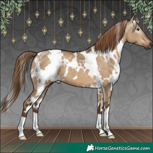 Horse Color:Gray White Spotted Liver Red Dun 