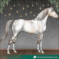 Horse Color:Gray White Spotted Liver Red Dun