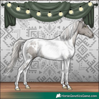 Horse Color:White Spotted Silver Black Tobiano