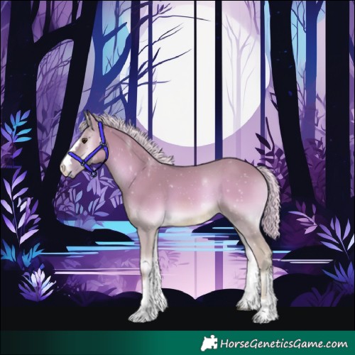 Horse Color:Watercolor Palomino Onyx 