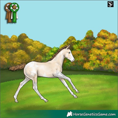 Horse Color:Smoky Grullo Pearl Sabino Appaloosa