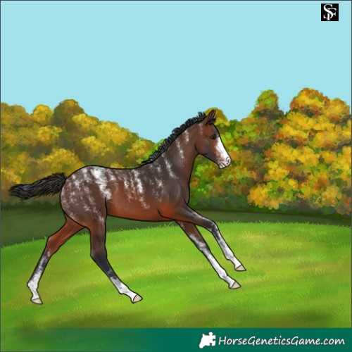 Horse Color:Powder White Brown 