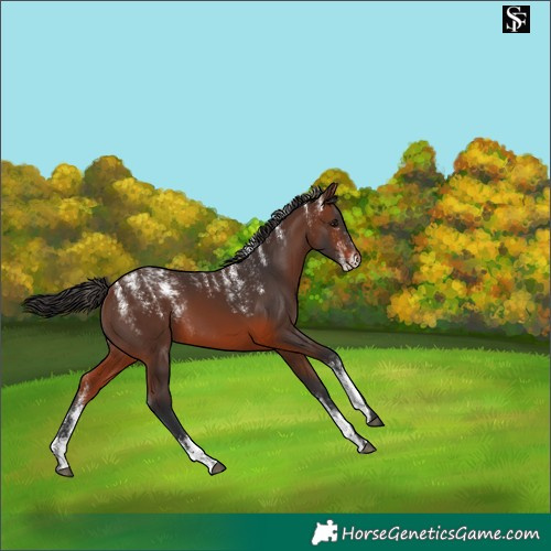 Horse Color:Powder White Brown 