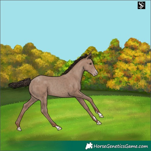 Horse Color:Classic Champagne 