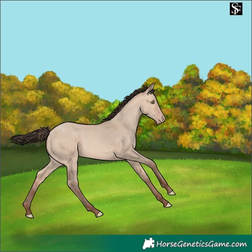 Horse Color:Amber Champagne Dun 