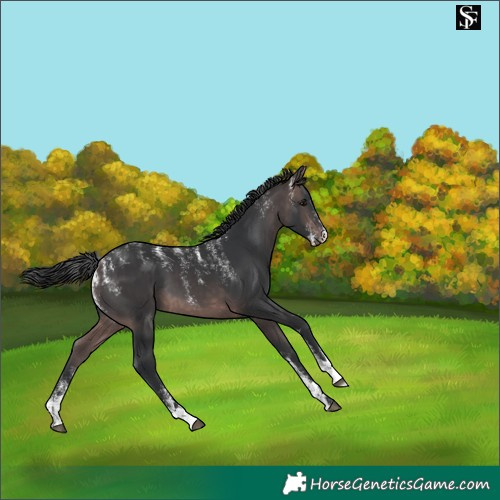 Horse Color:Powder White Platinum Brown 