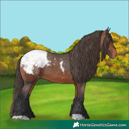 Horse Color:Bay Snowcap