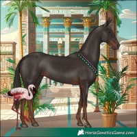 Horse Color:Liver Chestnut  and Liver Chestnut 