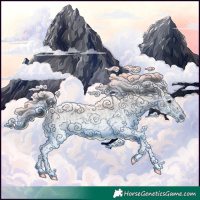 Horse Color:White Spotted Blue Roan Rabicano and White Spotted Blue Roan Rabicano