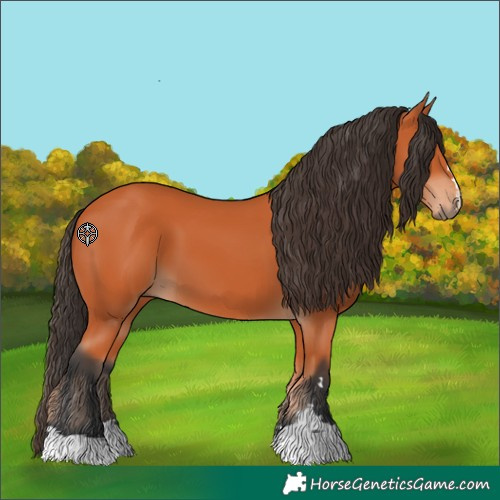 Horse Color:Unknown 