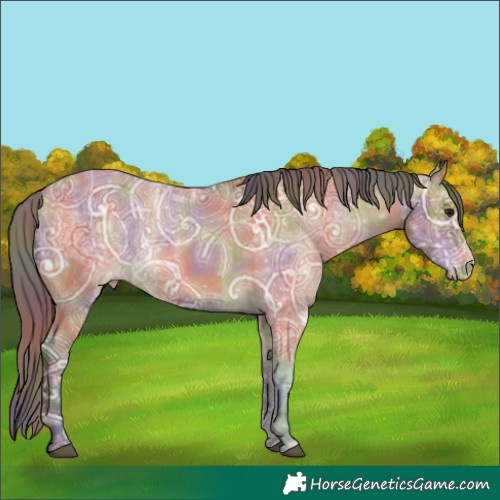 Horse Color:Nacre Bay Ice Appaloosa Rabicano 
