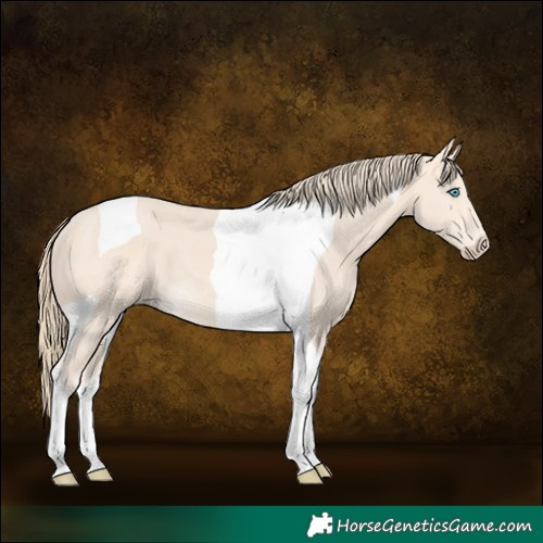 Horse Color:Perlino Tobiano 