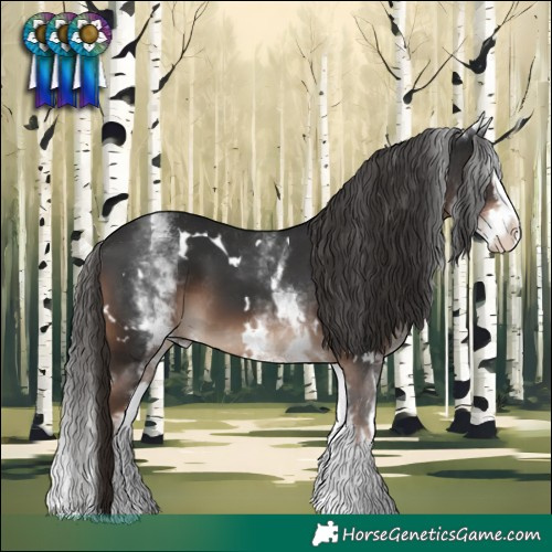 Horse Color:White Spotted Liver Chestnut Splash 