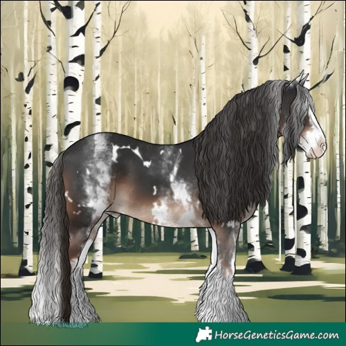 Horse Color:White Spotted Liver Chestnut Splash 