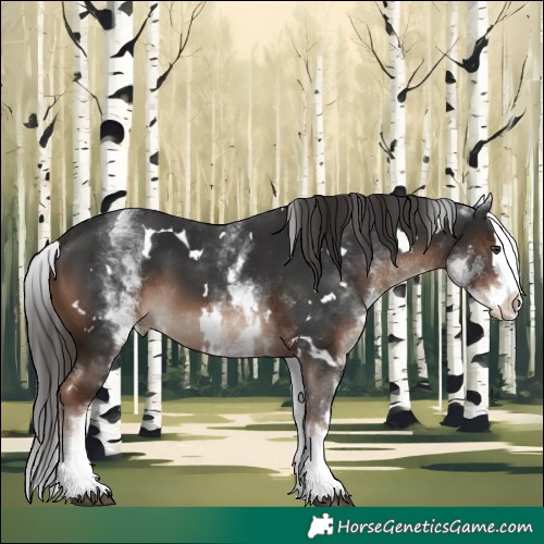 Horse Color:White Spotted Liver Chestnut Splash 
