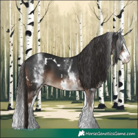 Horse Color:White Spotted Liver Chestnut Splash 