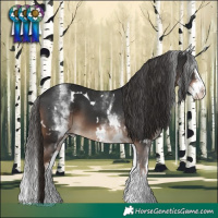 Horse Color:White Spotted Liver Chestnut Splash 