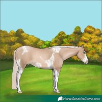Horse Color:Chocolate Palomino Pearl Tobiano Frame and Chocolate Palomino Pearl Tobiano Frame