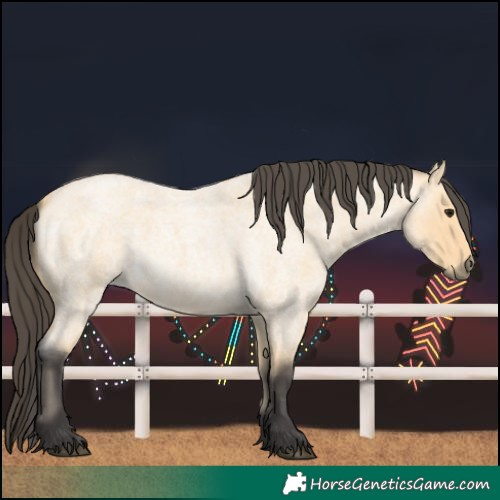 Horse Color:Unknown 