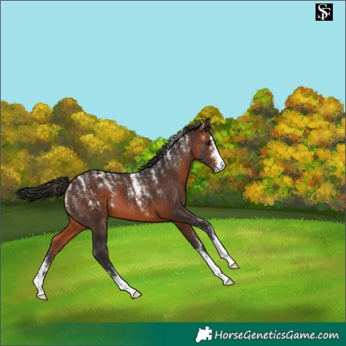 Horse Color:Powder White Bay 