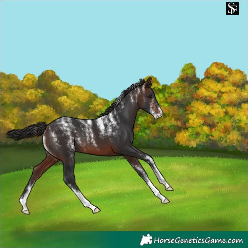 Horse Color:Powder White Brown 