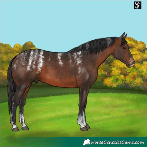 Horse Color:Powder White Brown 