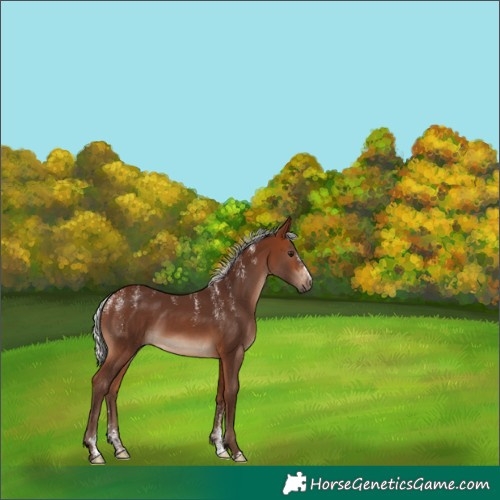 Horse Color:Powder White Silver Bay 