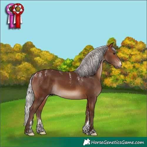 Horse Color:Powder White Silver Bay 