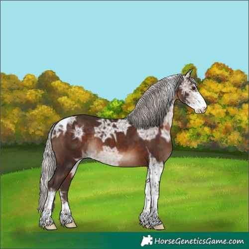 Horse Color:Silver Brown Ice Sabino Tobiano Rabicano 