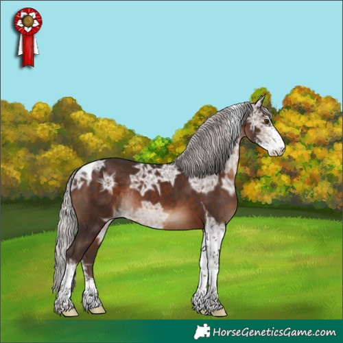 Horse Color:Silver Brown Ice Sabino Tobiano Rabicano 
