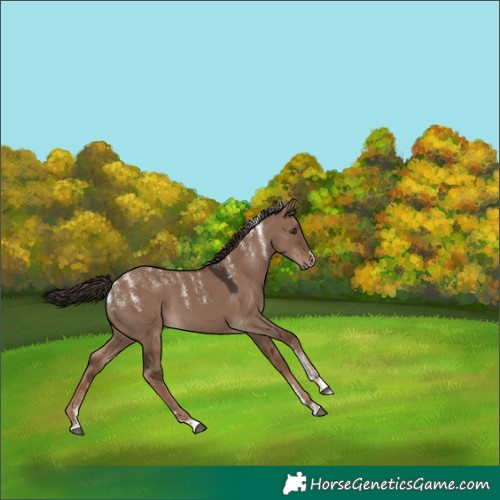 Horse Color:Powder White Liver Red Dun 
