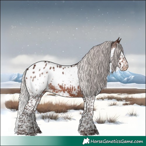 Horse Color:Silver Brown Splash Tobiano Blanket 