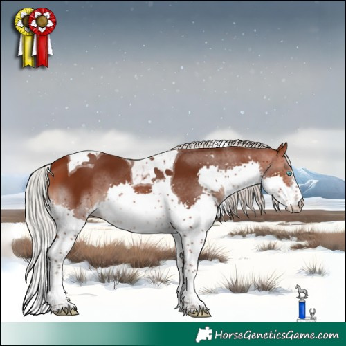 Horse Color:Silver Brown Splash Tobiano 