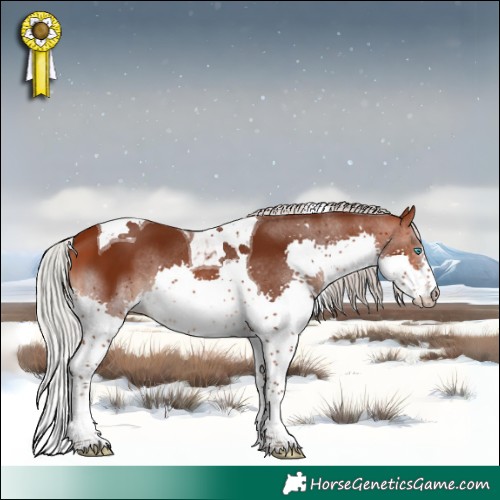 Horse Color:Silver Brown Splash Tobiano