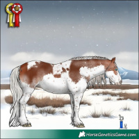 Horse Color:Silver Brown Splash Tobiano