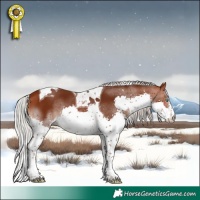 Horse Color:Silver Brown Splash Tobiano 