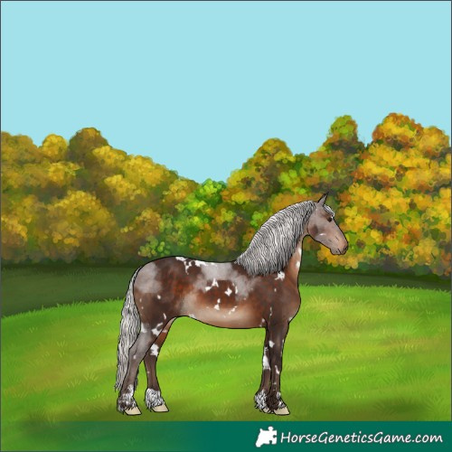 Horse Color:White Spotted Silver Brown 