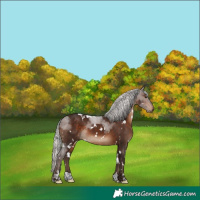 Horse Color:White Spotted Silver Brown